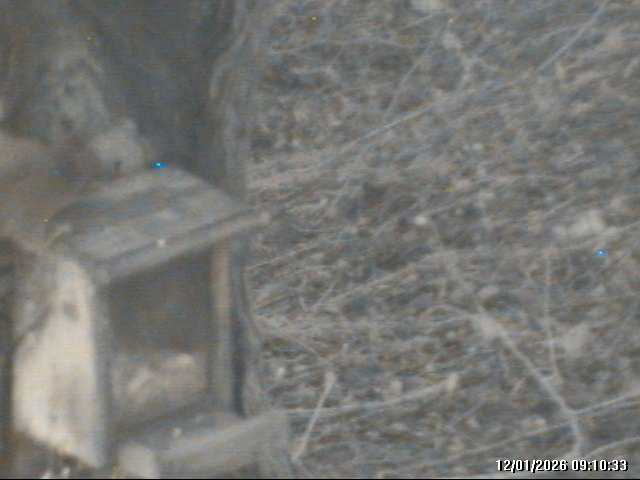 A still image captured by the Motion Detector