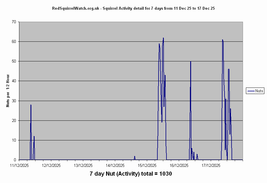 Click to view Activity Detail chart full-size