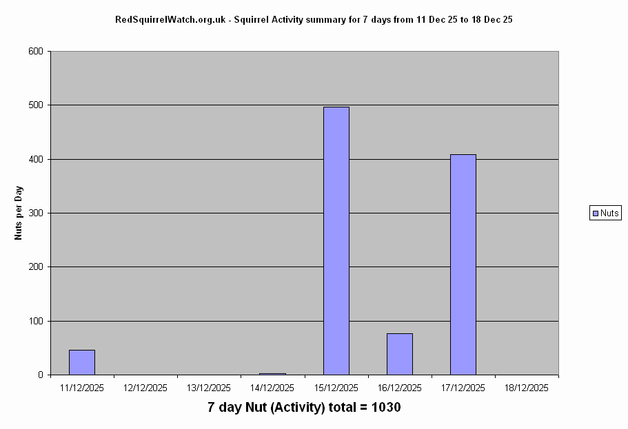 Click to view Activity Summary chart full-size
