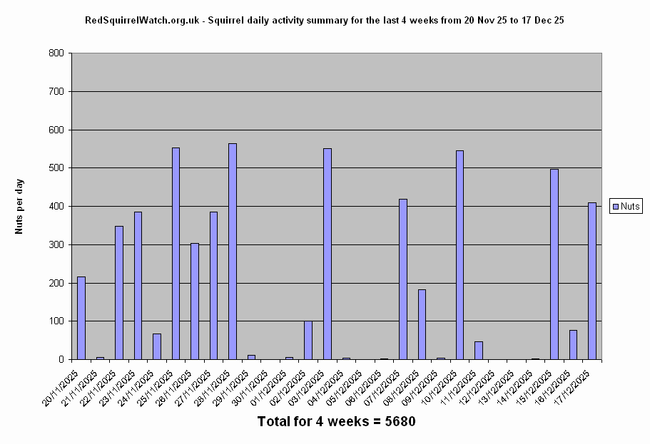 Click to view the Activity chart full-size
