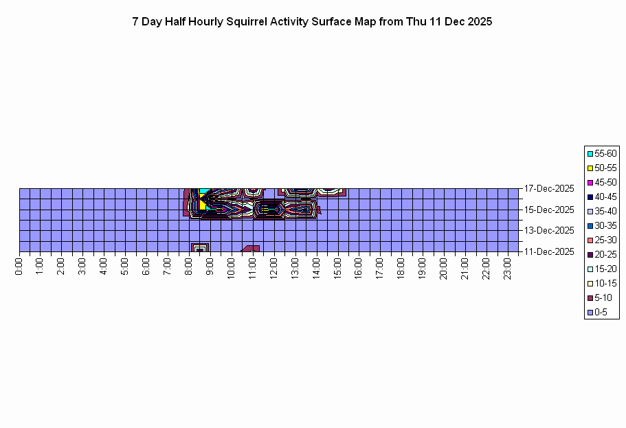 Click to view Activity Detail chart full-size