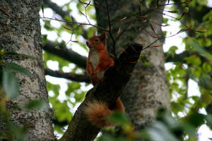 Click to view full-size