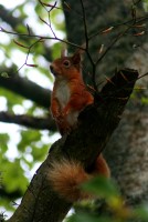 Click to view full-size