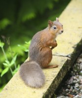 Click to view full-size