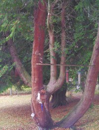 The Big Picture - Click for full-size image