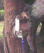 Click to view full-size